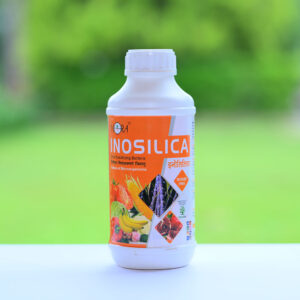 INOSILICA-3