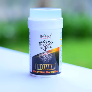 INOVAM 2