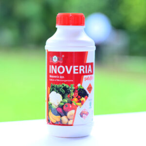 INOVERIA