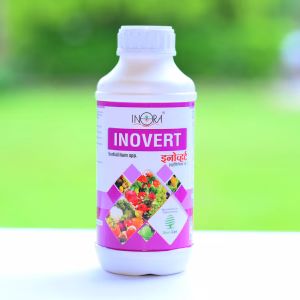 INOVERT
