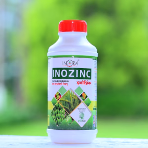 INOZINC