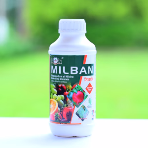 MILBAN