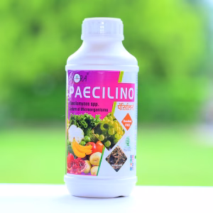 PAECILINO