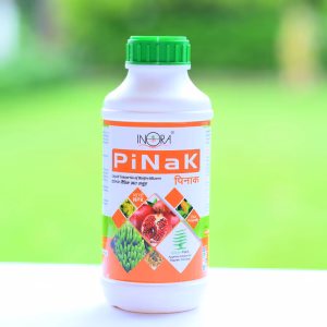 PiNaK
