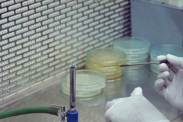 Commitment to Excellence