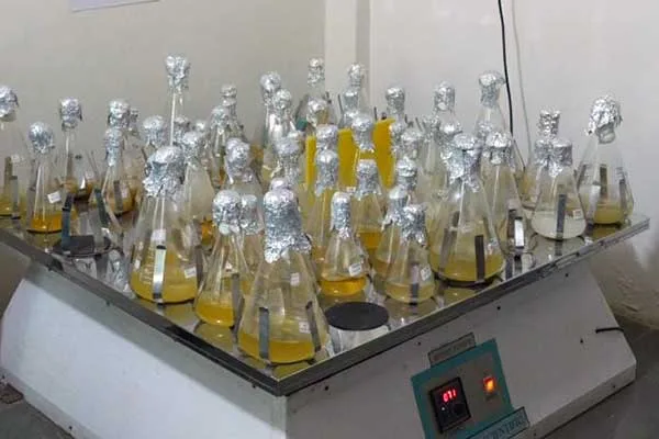 Controlled Culture Development Facility